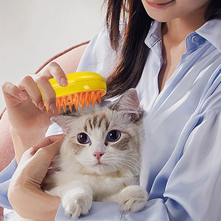 Escova vaporizadora para pets